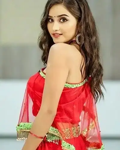 Call Girls Service Chikkaballapur